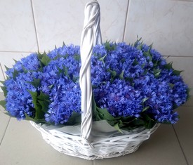 корзина из 301 цветка василька